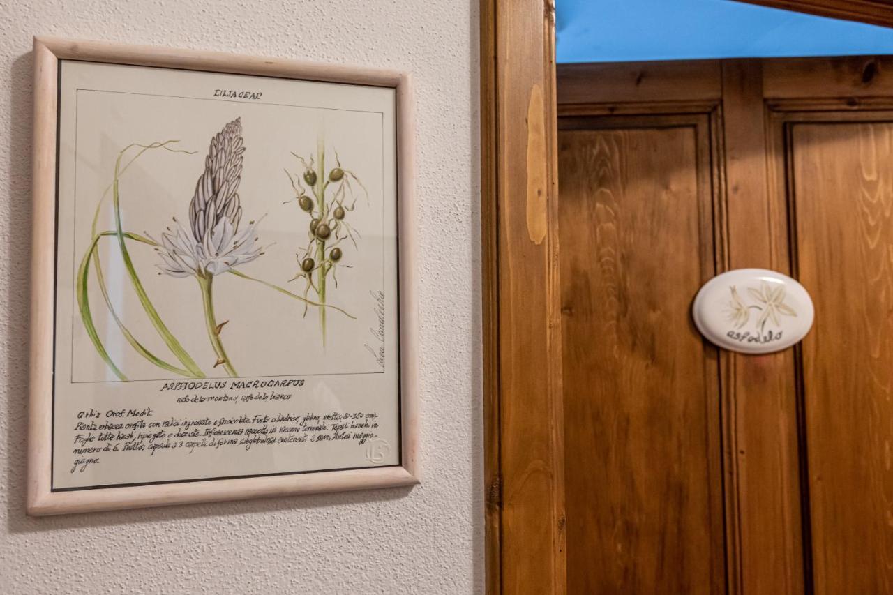 La Locanda Di Adele - Il Giardinetto B&B สการ์เปริอา ภายนอก รูปภาพ